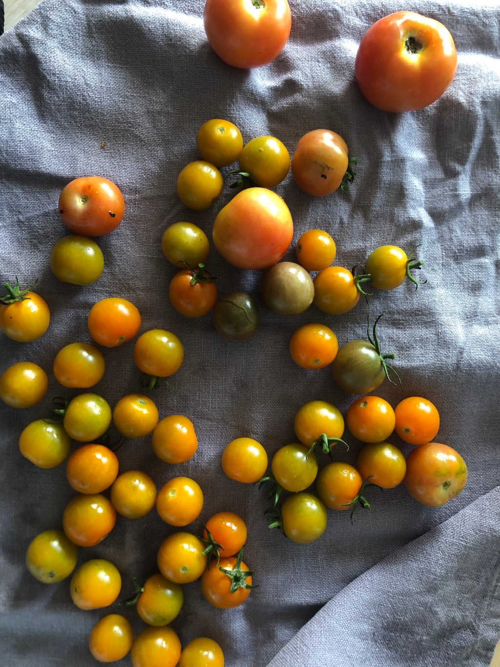 Writing Published Between 2018 and&nbsp;2020